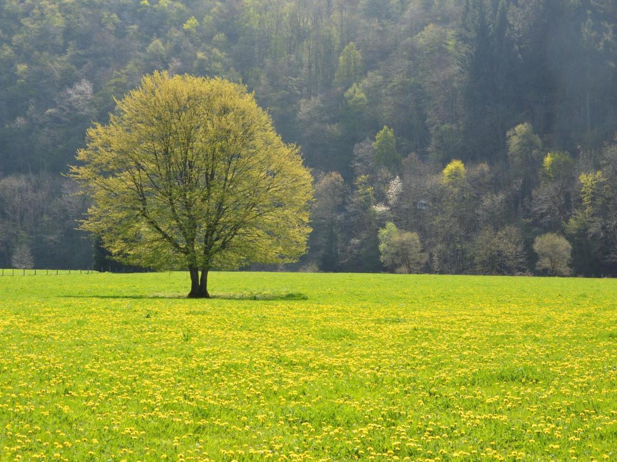 Independant Gite At The Calm Way In The Center Houffalize Kültér fotó